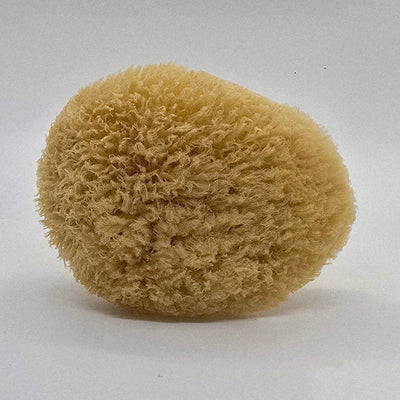 Dead Sea Natural Sponges Bath Accessory by Papa Stan's of Iowa
